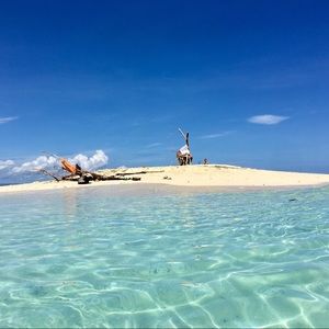 Meet your Posher, Rachelle